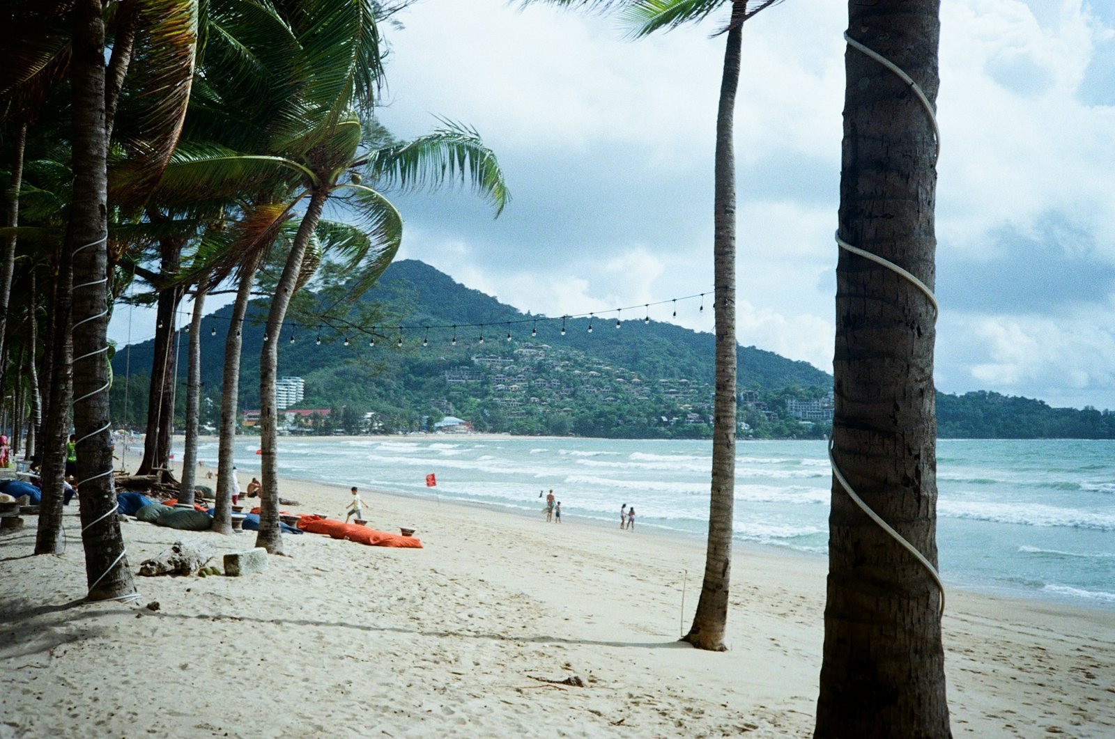 Phuket beach with palm trees